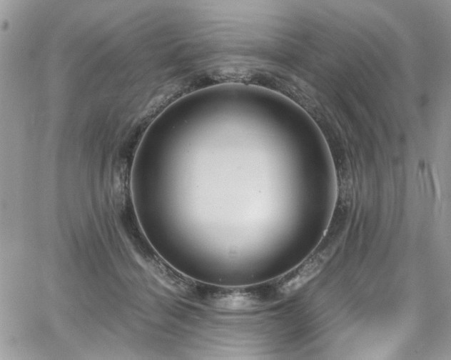 X0000065240460200602171428