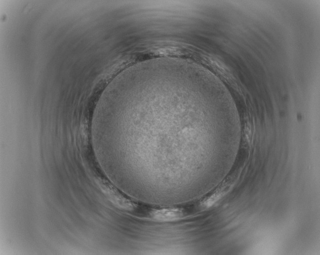 X0000065240461200602171428