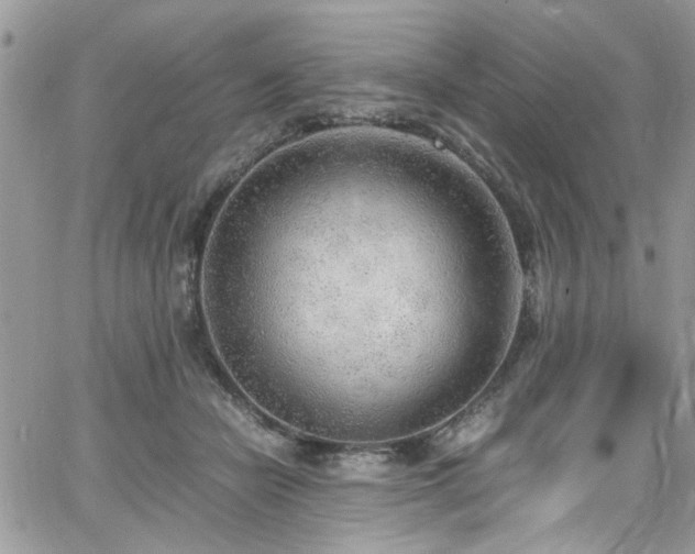 X0000065240462200602171428