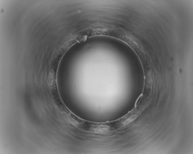 X0000065240463200602171428