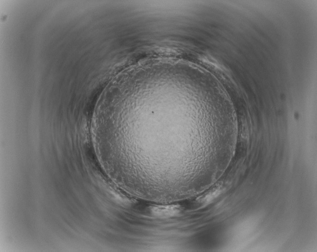 X0000065240465200602171428