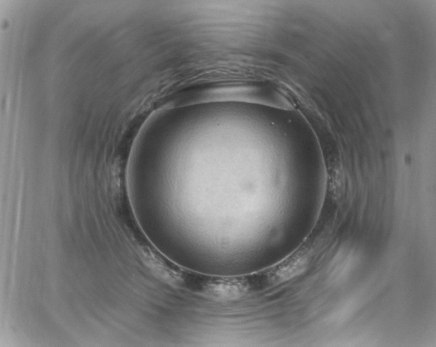 X0000065240466200602171428