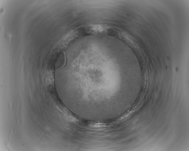 X0000065240467200602171428