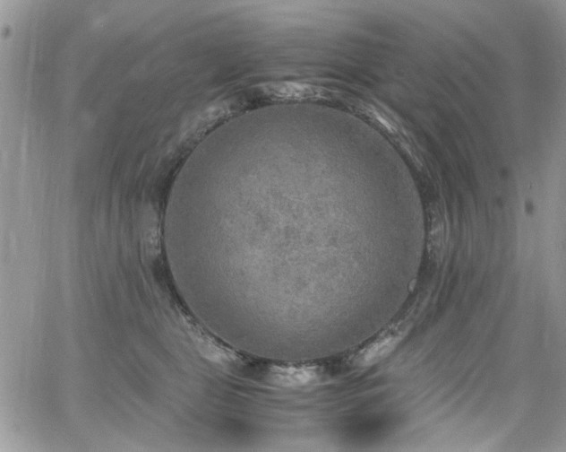 X0000065240469200602171428