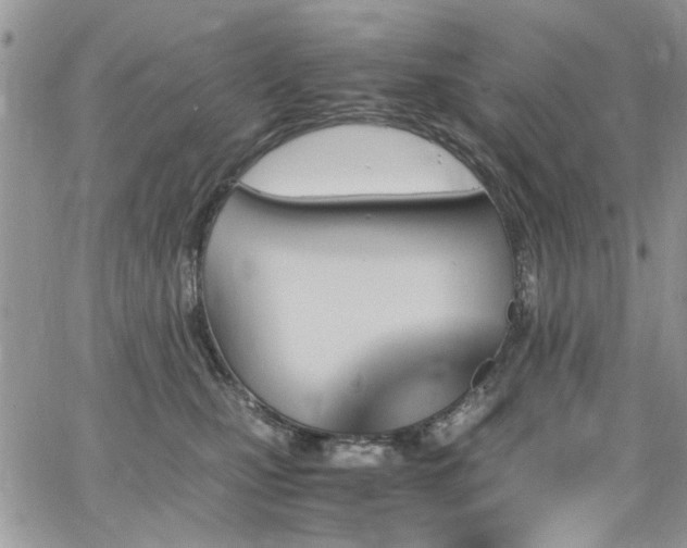 X0000065240471200602171428