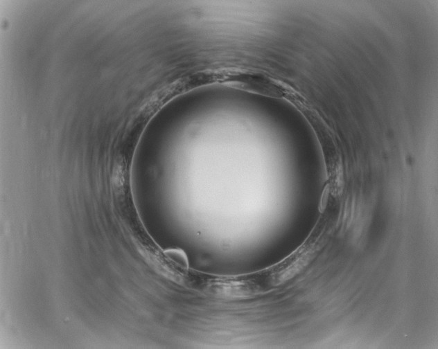 X0000065240472200602171428