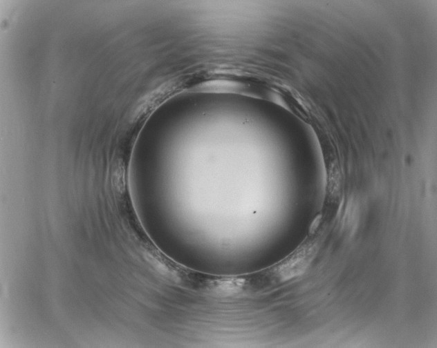 X0000065240474200602171428