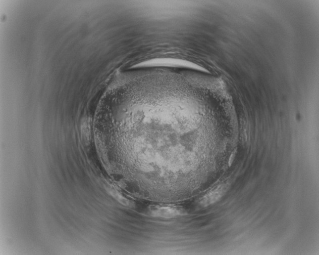 X0000065240475200602171428