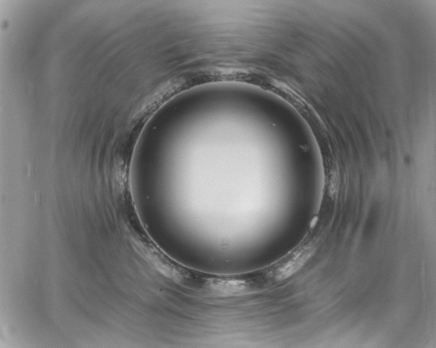 X0000065240476200602171429