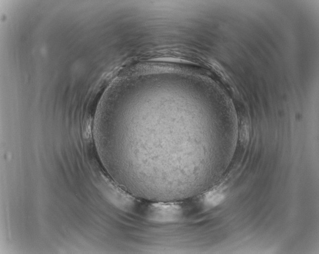 X0000065240477200602171429