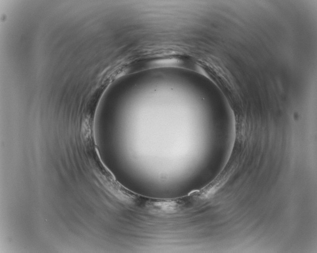 X0000065240478200602171429