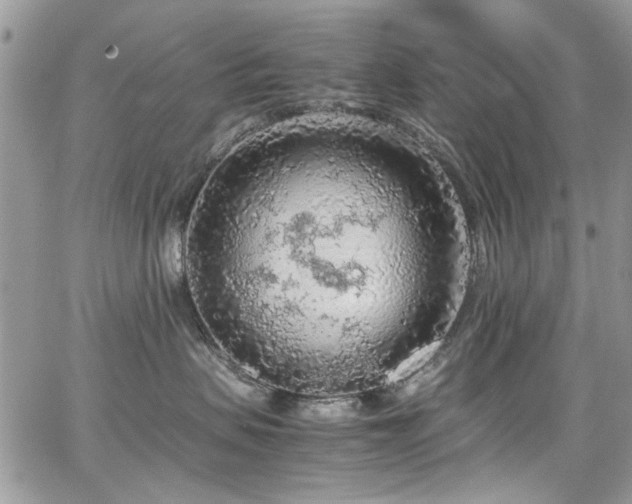 X0000065240479200602171429