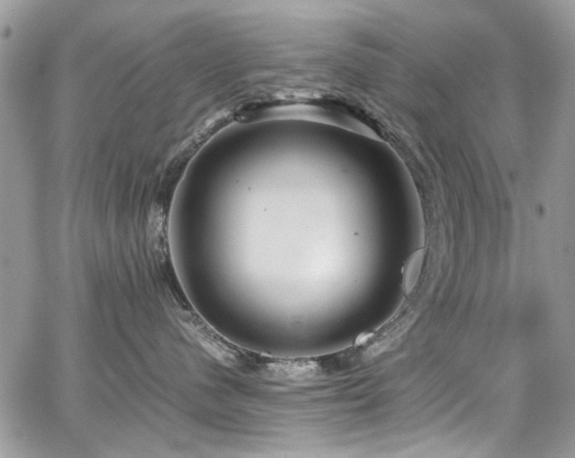 X0000065240480200602171429