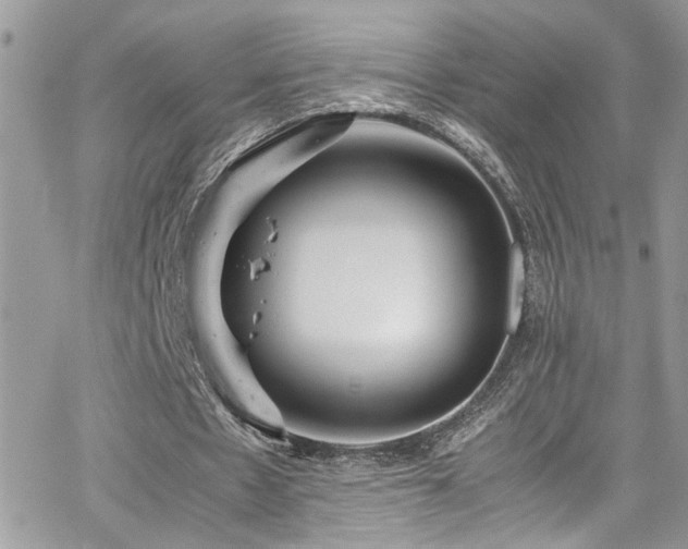 X0000065240481200602171428