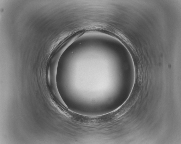 X0000065240485200602171428