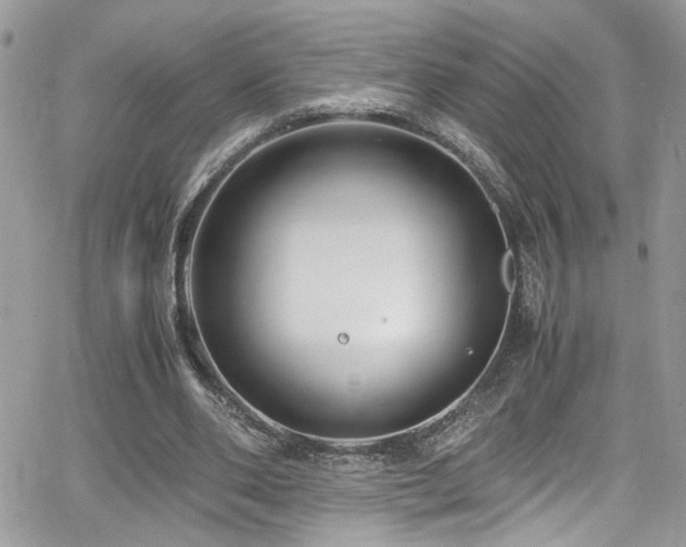 X0000065240486200602171428