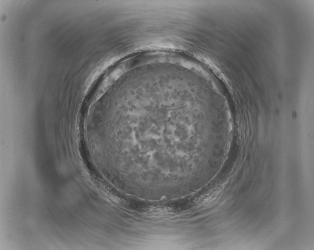 X0000065240487200602171428