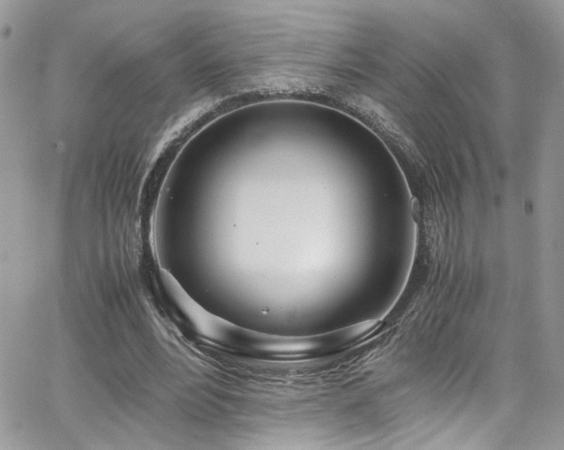 X0000065240488200602171428