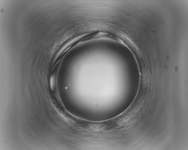 X0000065240489200602171428