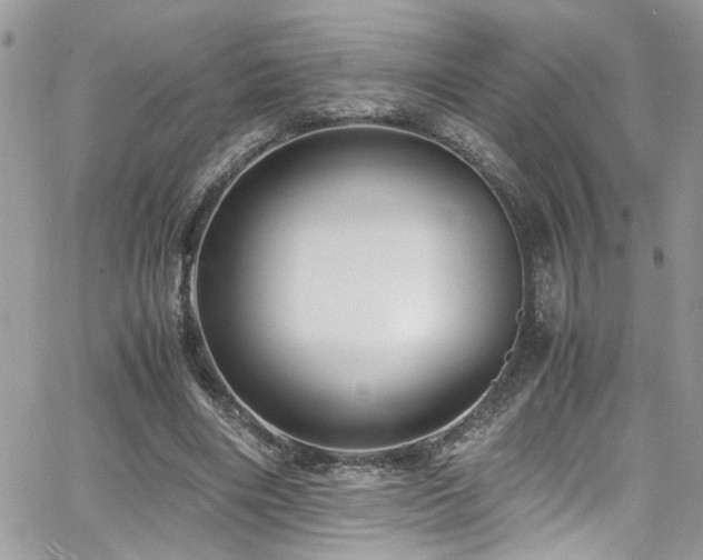 X0000065240490200602171428