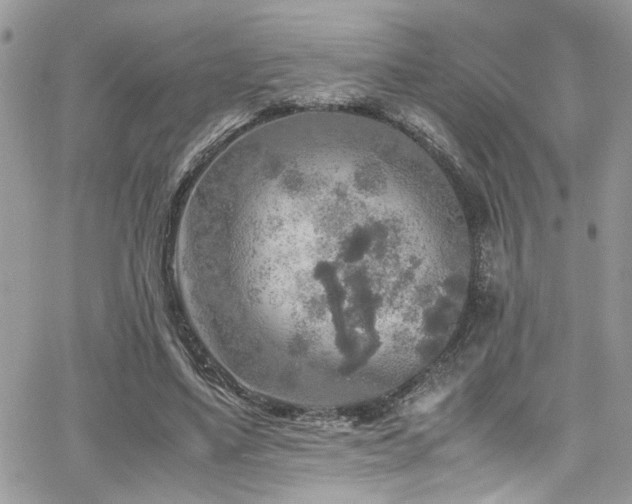 X0000065240491200602171428