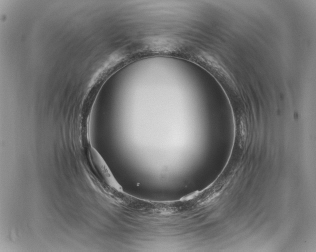 X0000065240492200602171428