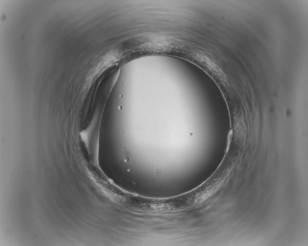 X0000065240493200602171428