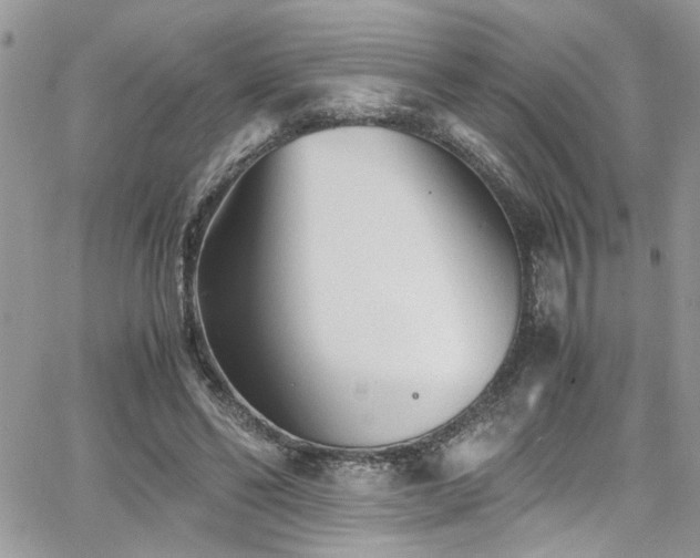 X0000065240494200602171428