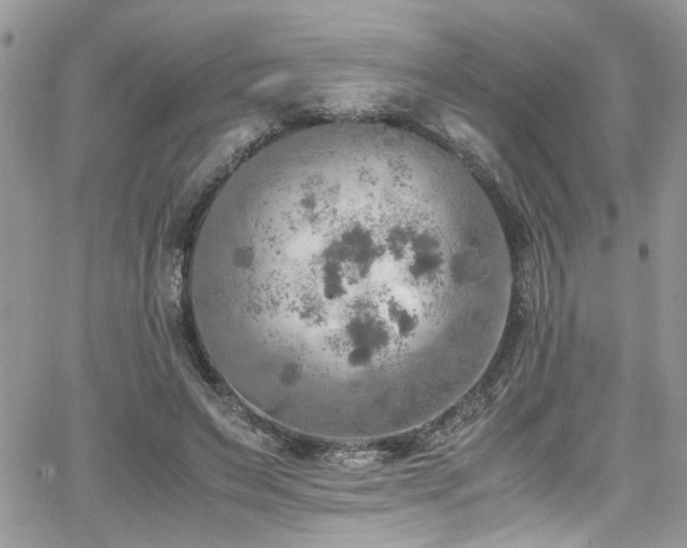 X0000065240495200602171428