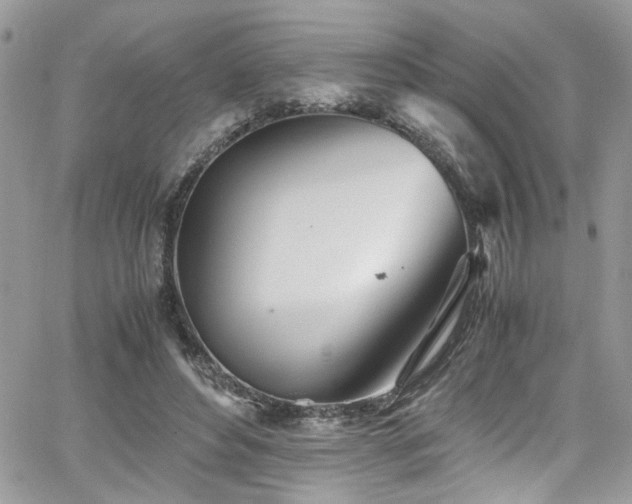 X0000065240496200602171428