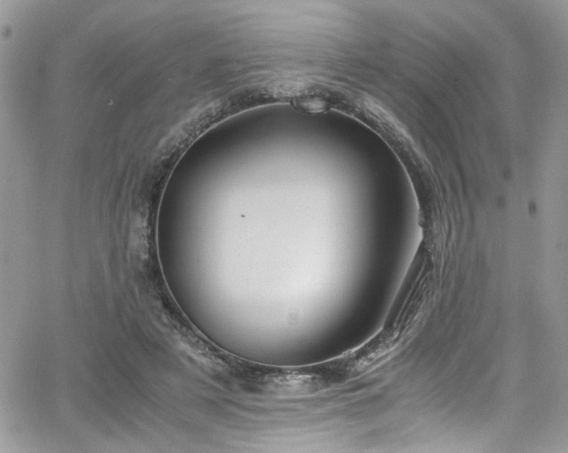 X0000065240497200602171428