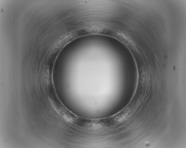 X0000065240498200602171428