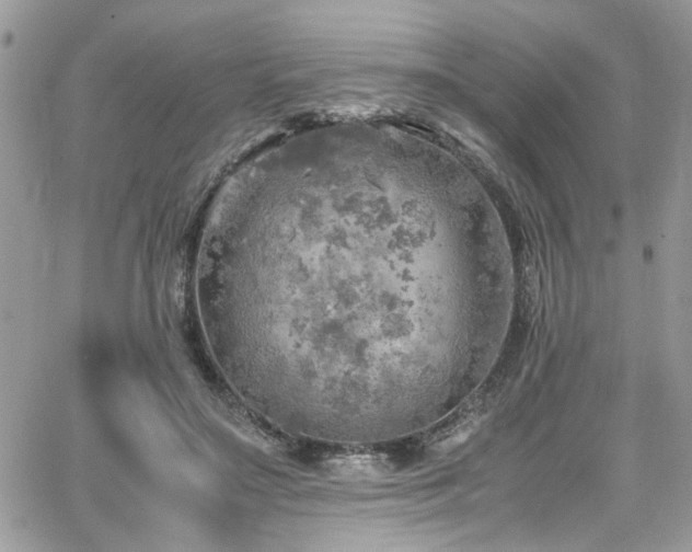 X0000065240499200602171428