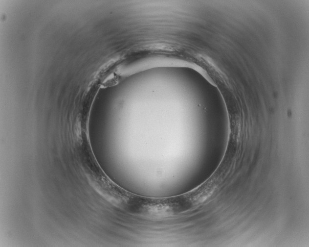 X0000065240500200602171427