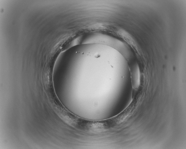 X0000065240501200602171427