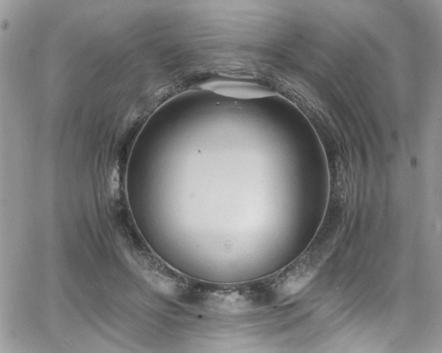 X0000065240502200602171427