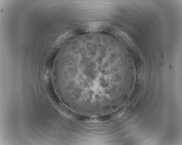 X0000065240503200602171427