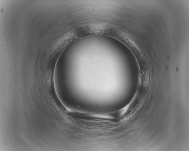 X0000065240505200602171427