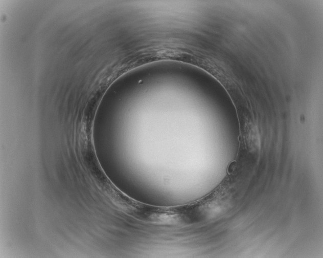 X0000065240506200602171427