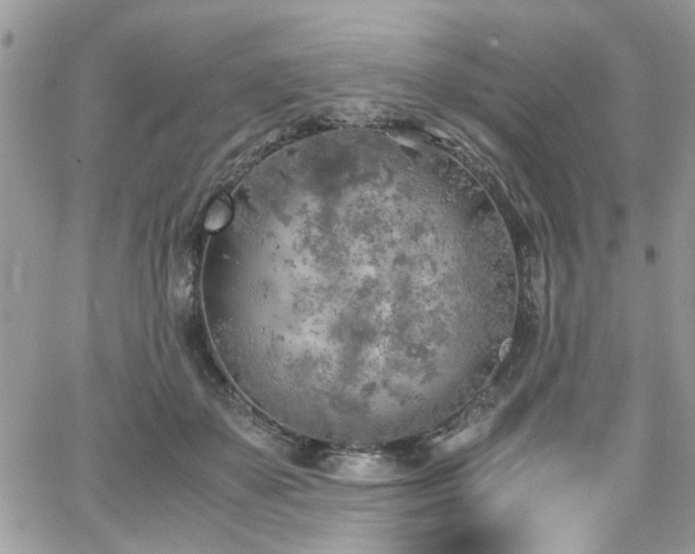 X0000065240507200602171427