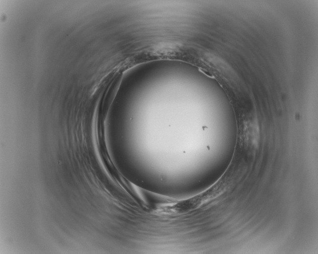 X0000065240508200602171427