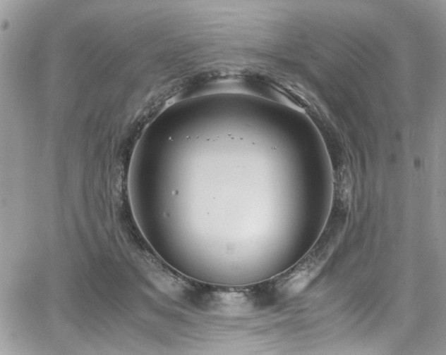 X0000065240509200602171427