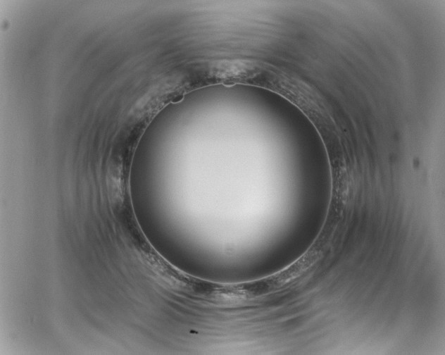 X0000065240510200602171427