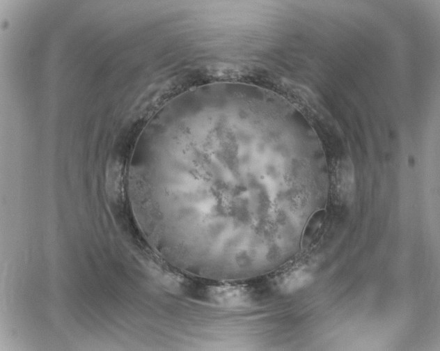 X0000065240511200602171427