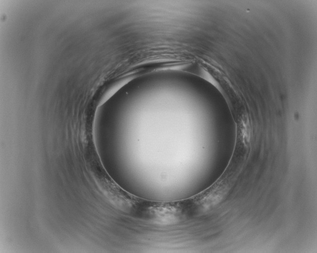 X0000065240512200602171427