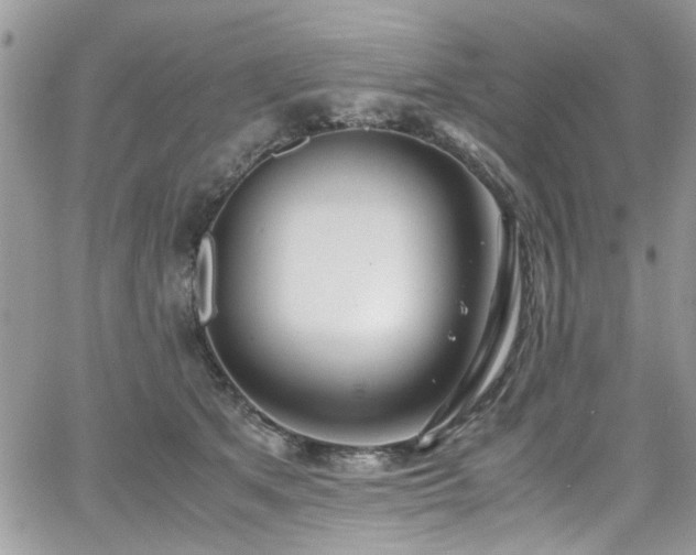 X0000065240513200602171427