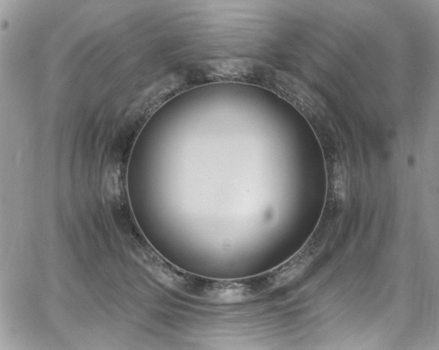 X0000065240514200602171427