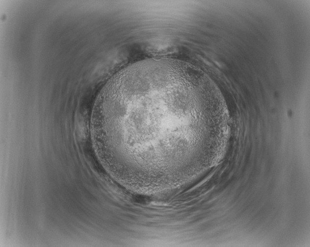 X0000065240515200602171427