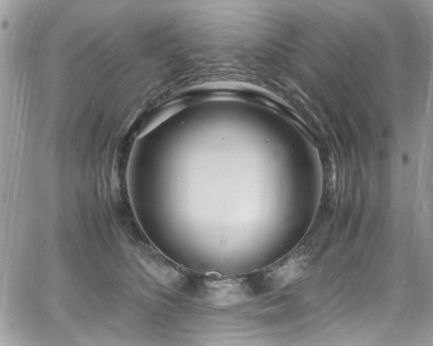 X0000065240516200602171427