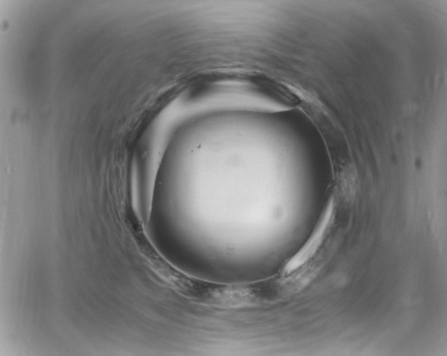 X0000065240517200602171427